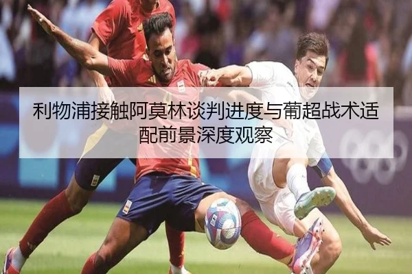 利物浦接触阿莫林谈判进度与葡超战术适配前景深度观察
